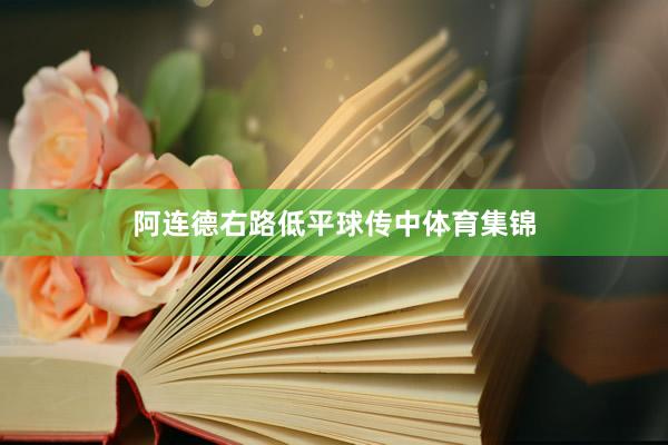 阿连德右路低平球传中体育集锦