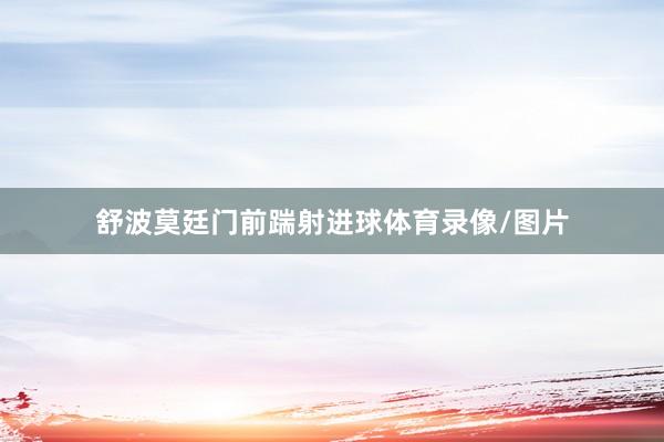 舒波莫廷门前踹射进球体育录像/图片