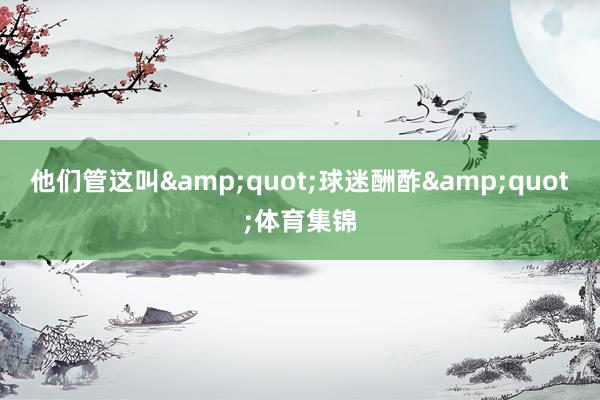 他们管这叫&quot;球迷酬酢&quot;体育集锦