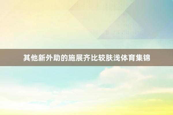 其他新外助的施展齐比较肤浅体育集锦