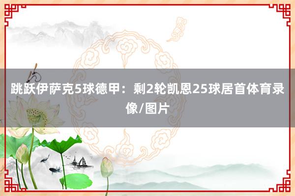 跳跃伊萨克5球德甲：剩2轮凯恩25球居首体育录像/图片
