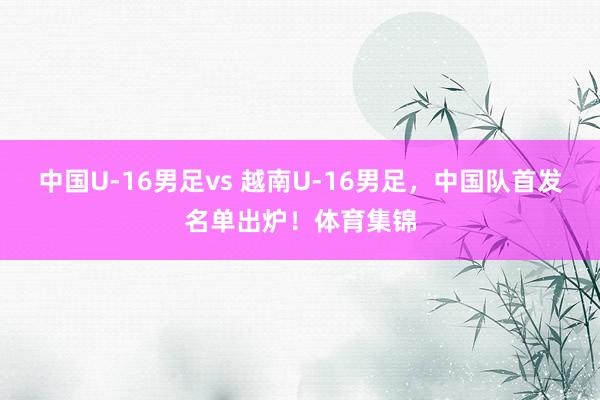 中国U-16男足vs 越南U-16男足，中国队首发名单出炉！体育集锦