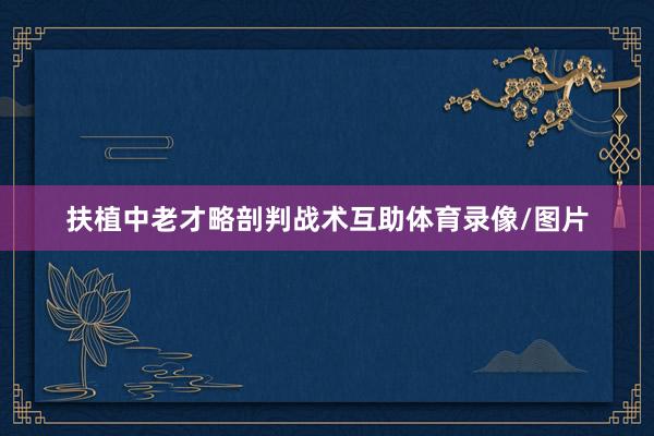 扶植中老才略剖判战术互助体育录像/图片