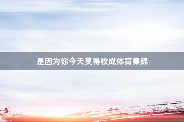 是因为你今天莫得收成体育集锦