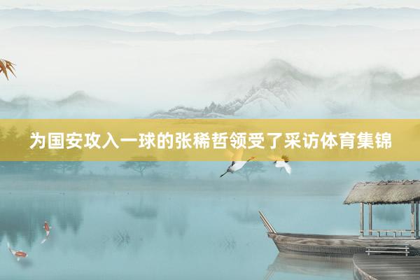 为国安攻入一球的张稀哲领受了采访体育集锦