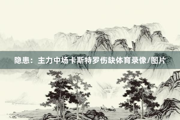 隐患：主力中场卡斯特罗伤缺体育录像/图片