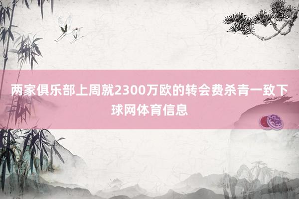 两家俱乐部上周就2300万欧的转会费杀青一致下球网体育信息