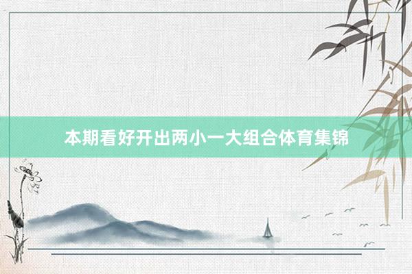 本期看好开出两小一大组合体育集锦
