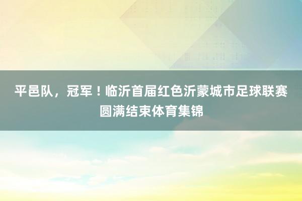 平邑队，冠军 ! 临沂首届红色沂蒙城市足球联赛圆满结束体育集锦