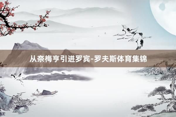从奈梅亨引进罗宾-罗夫斯体育集锦