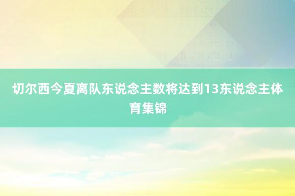 切尔西今夏离队东说念主数将达到13东说念主体育集锦