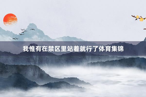 我惟有在禁区里站着就行了体育集锦