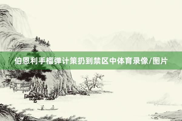 伯恩利手榴弹计策扔到禁区中体育录像/图片