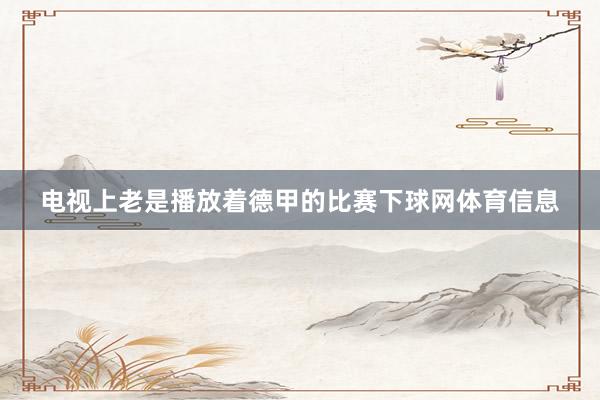 电视上老是播放着德甲的比赛下球网体育信息