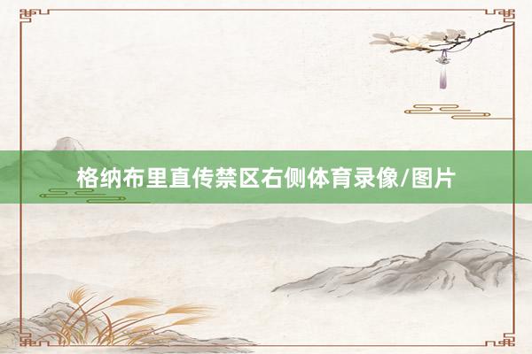 格纳布里直传禁区右侧体育录像/图片