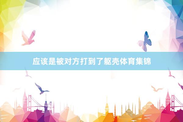应该是被对方打到了躯壳体育集锦