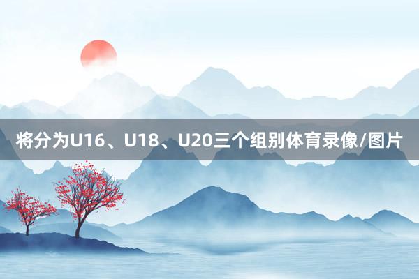 将分为U16、U18、U20三个组别体育录像/图片