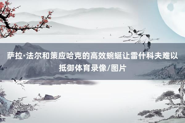 萨拉·法尔和策应哈克的高效蜿蜒让雷什科夫难以抵御体育录像/图片