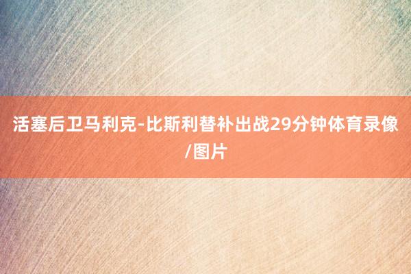 活塞后卫马利克-比斯利替补出战29分钟体育录像/图片