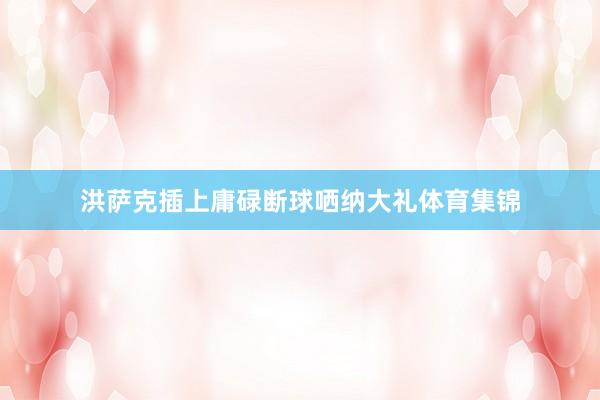 洪萨克插上庸碌断球哂纳大礼体育集锦