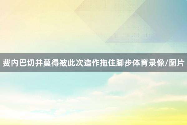 费内巴切并莫得被此次造作拖住脚步体育录像/图片