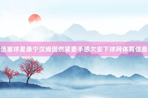 活塞球星康宁汉姆固然紧要手感欠安下球网体育信息