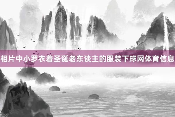 相片中小罗衣着圣诞老东谈主的服装下球网体育信息