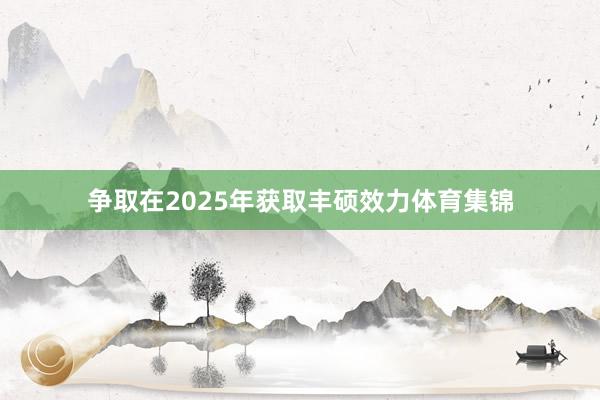争取在2025年获取丰硕效力体育集锦