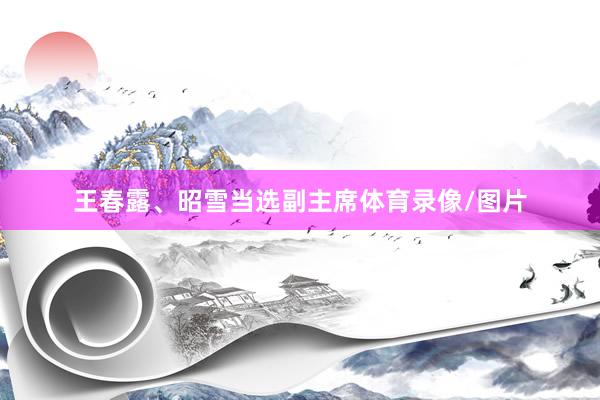 王春露、昭雪当选副主席体育录像/图片