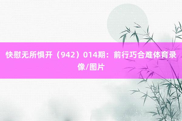 快慰无所惧开（942）　　014期：前行巧合难体育录像/图片
