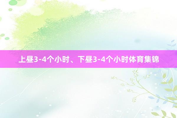 上昼3-4个小时、下昼3-4个小时体育集锦