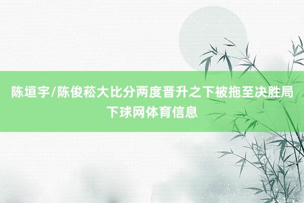 陈垣宇/陈俊菘大比分两度晋升之下被拖至决胜局下球网体育信息