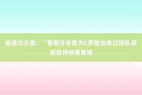 哈德尔示意：“葡萄牙体育为C罗曾效率过球队深感自恃体育集锦