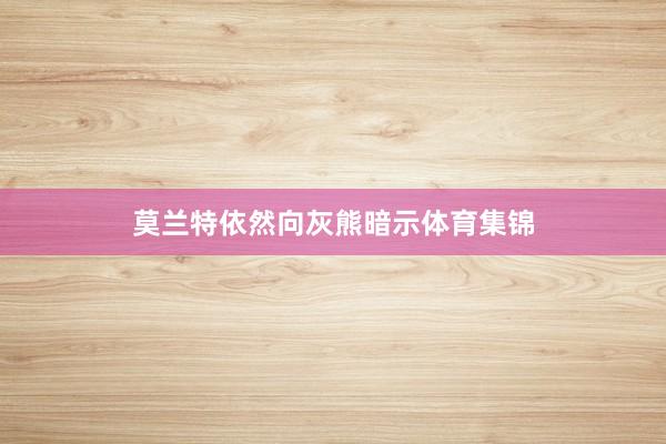 莫兰特依然向灰熊暗示体育集锦