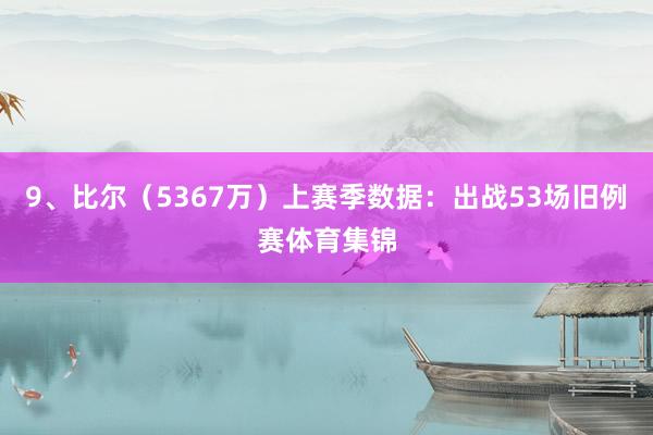 9、比尔（5367万）上赛季数据：出战53场旧例赛体育集锦
