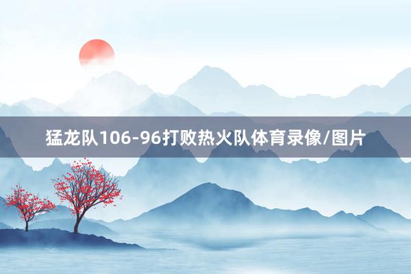 猛龙队106-96打败热火队体育录像/图片