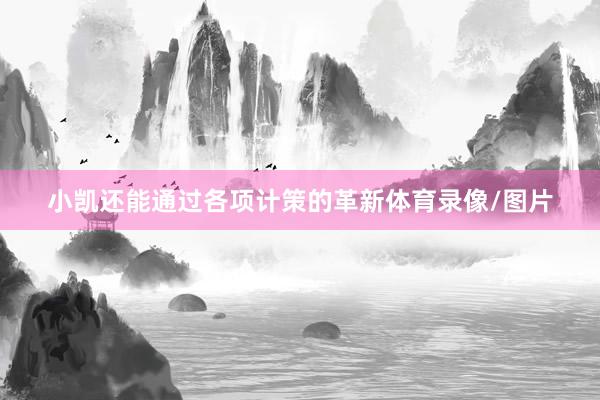 小凯还能通过各项计策的革新体育录像/图片