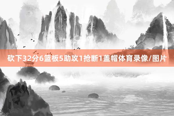 砍下32分6篮板5助攻1抢断1盖帽体育录像/图片